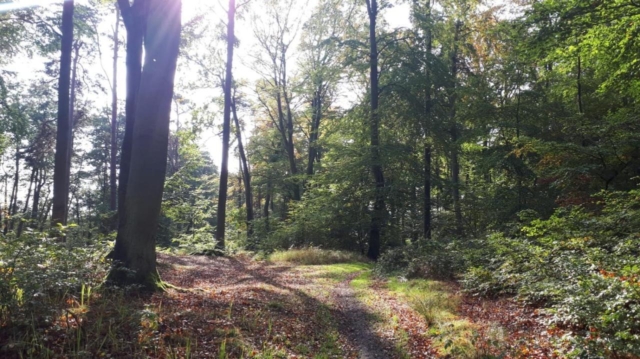 Ferienhaus Piel - Am Inselwald Uckeritz Dış mekan fotoğraf